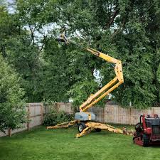 Lawn Maintenance Plans in Johnson Creek, WI